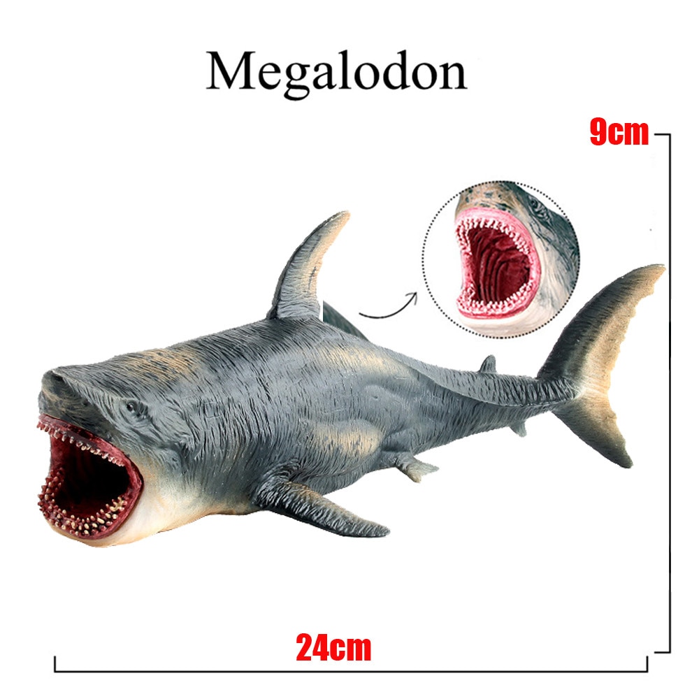 ߸ ٴ Megalodon- ô  ..