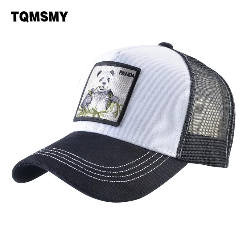 TQMSMY  ⼺ ޽ ߱ , Ҵ ġ  ..
